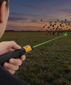 Scaring birds with the 200 mW green laser pointer at dusk