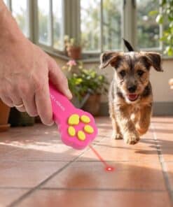 Emax red laser pointer for pets: playing with the dog