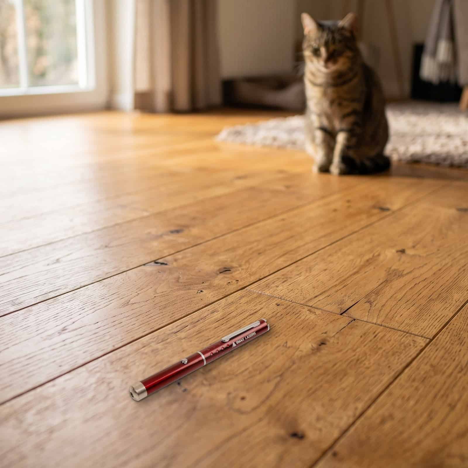 Emax red laser pointer in a real setting
